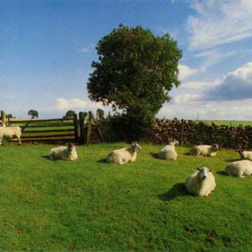 The KLF - Chill Out (UK) (1990)